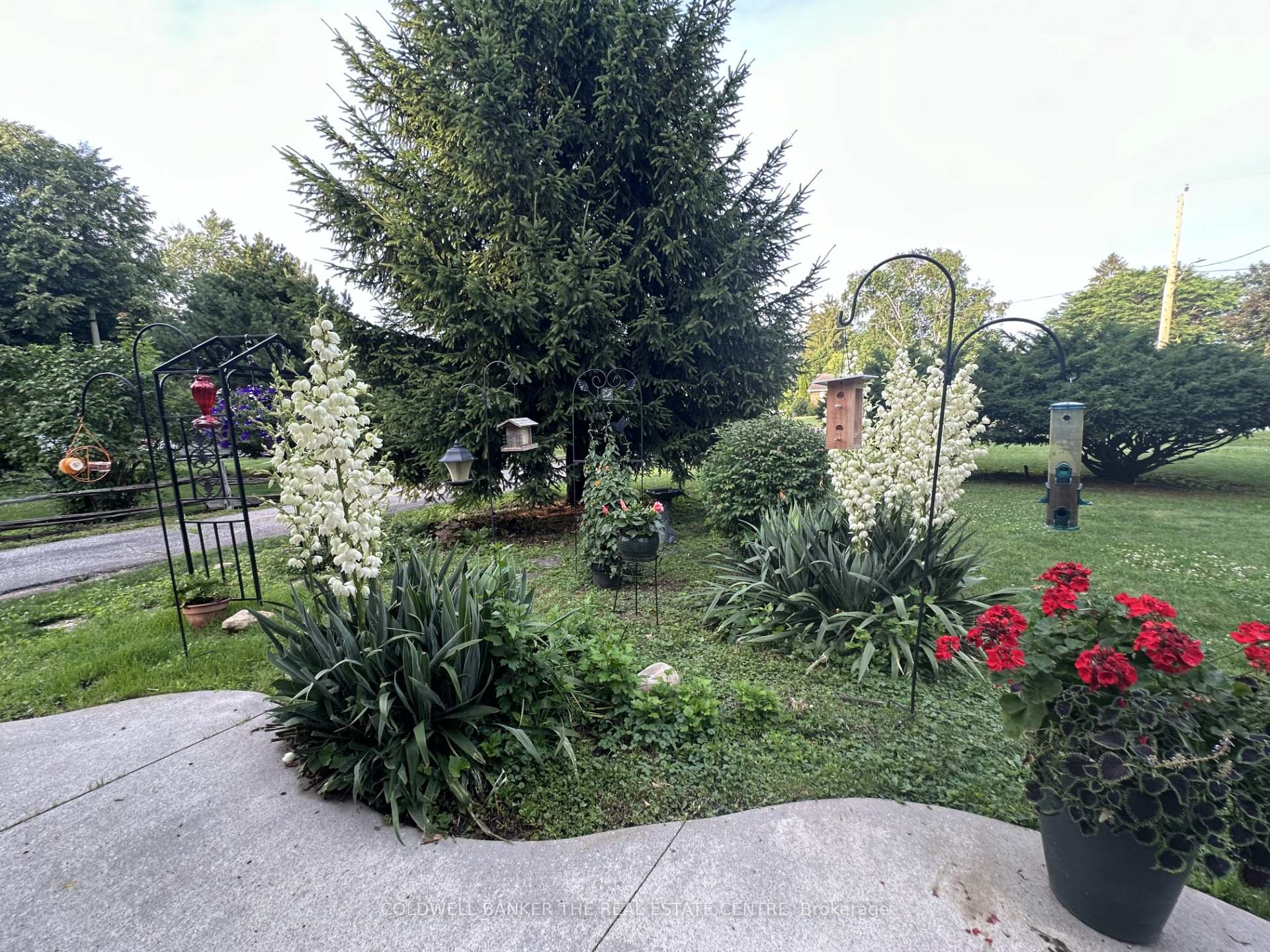Photo 7 of 178 Woodworth Avenue, St. Thomas — HOMEH