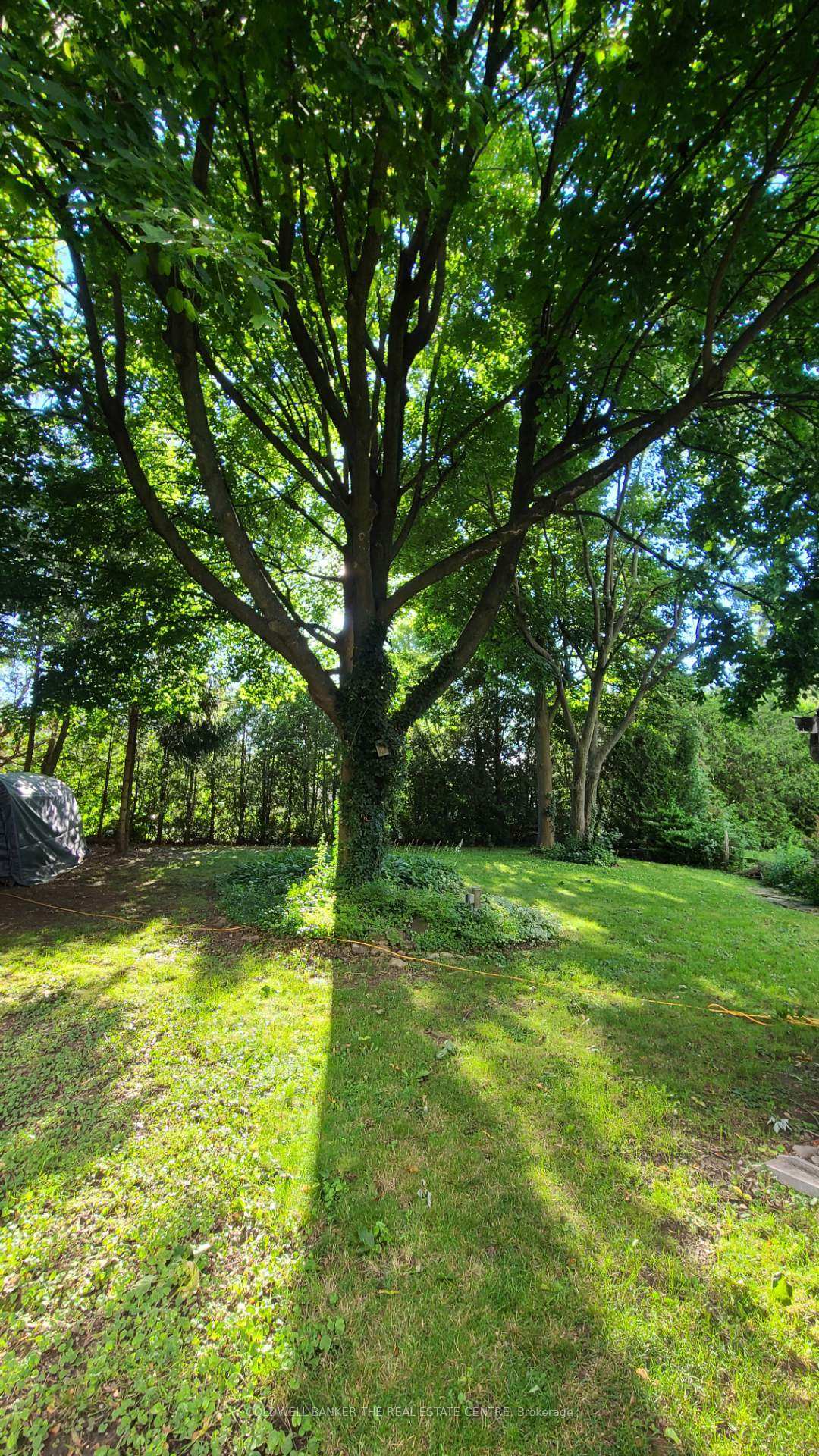 Photo 34 of 178 Woodworth Avenue, St. Thomas — HOMEH