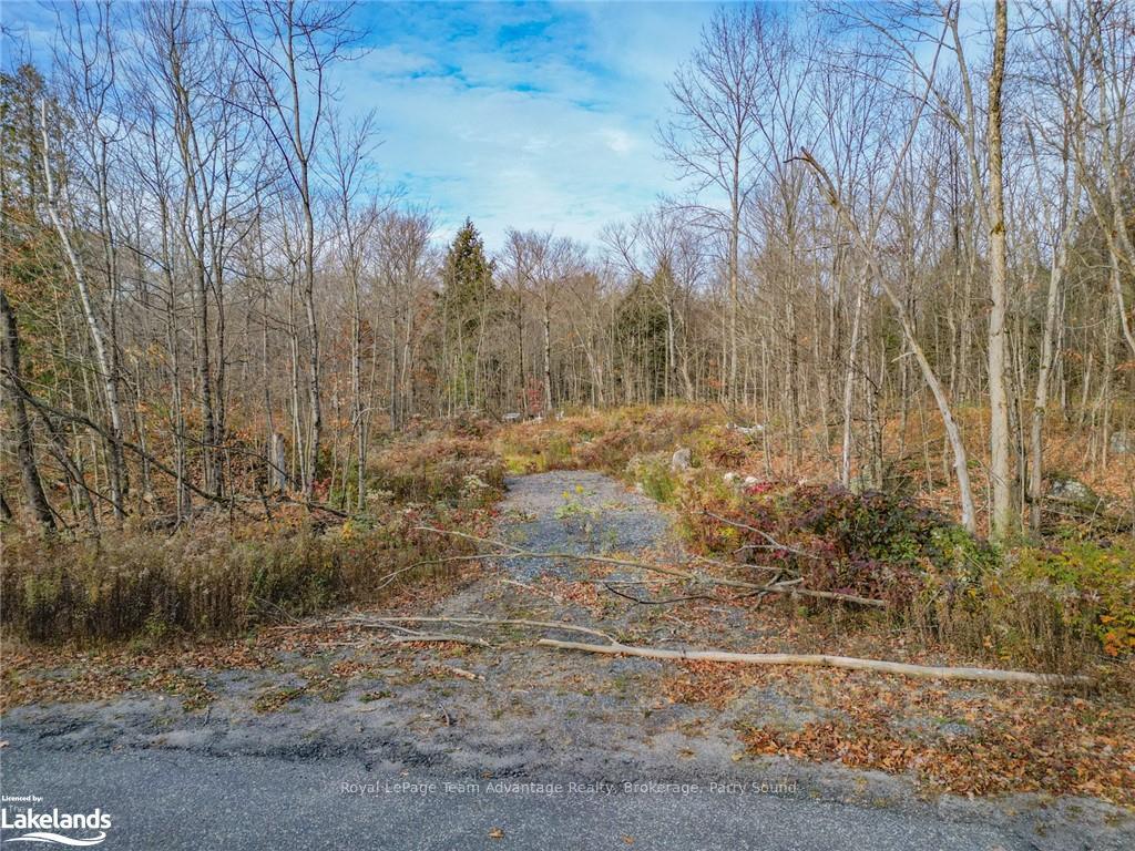 Photo 6 of 28 Loch Erne Road, McDougall — HOMEH