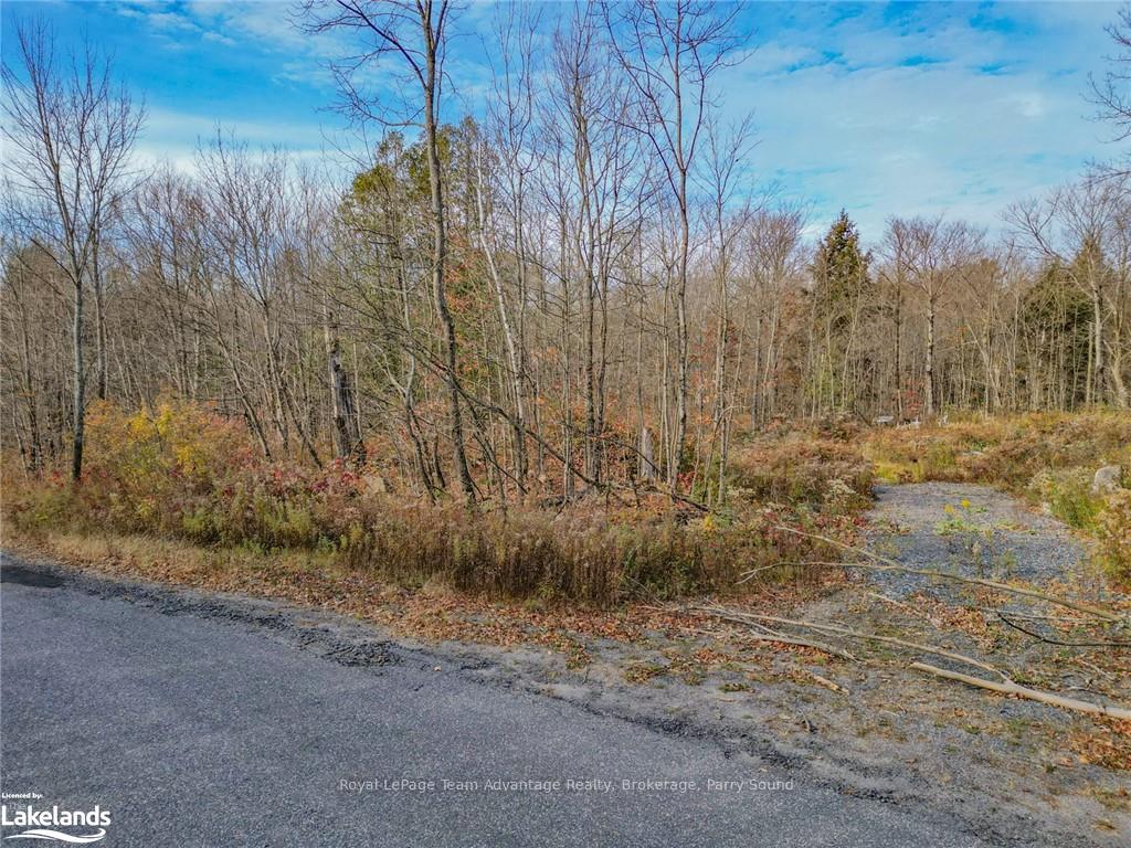 Photo 7 of 28 Loch Erne Road, McDougall — HOMEH