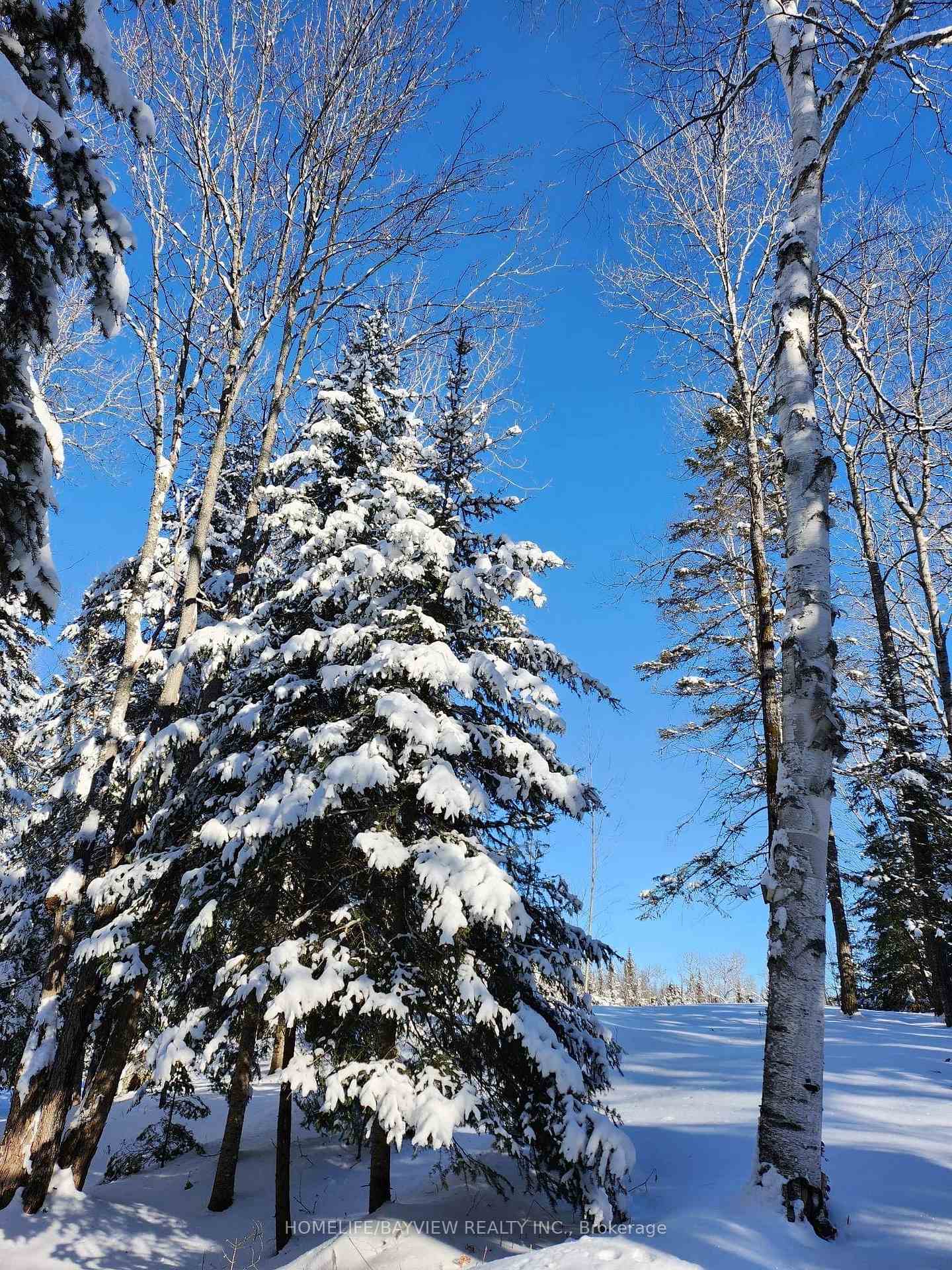 Photo 22 of 112 Butterfield Road, Powassan — HOMEH