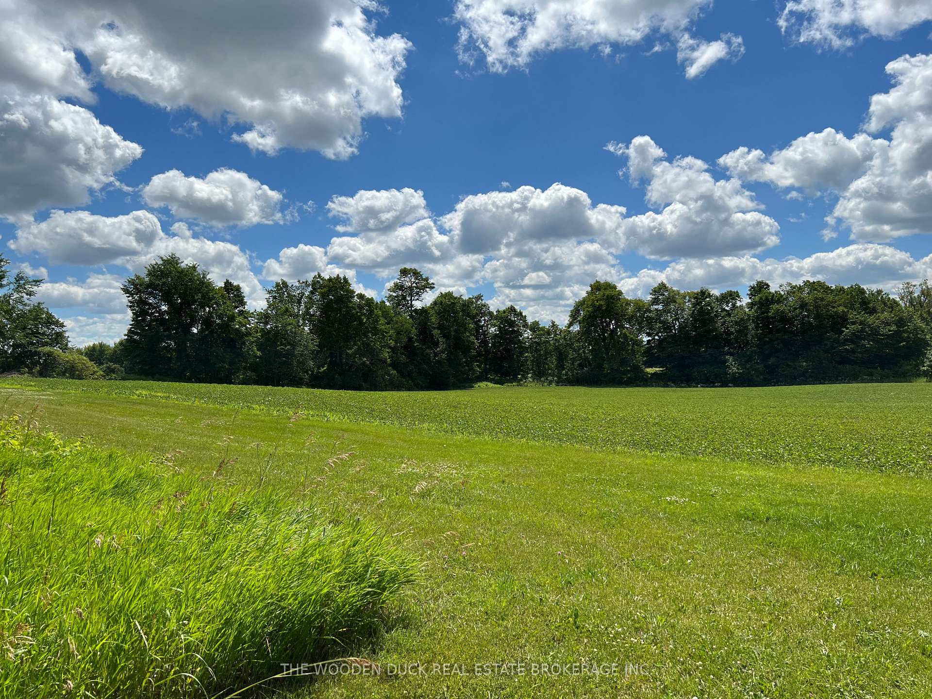 Photo 3 of 256 8th Line S Dummer Road, Douro-Dummer — HOMEH