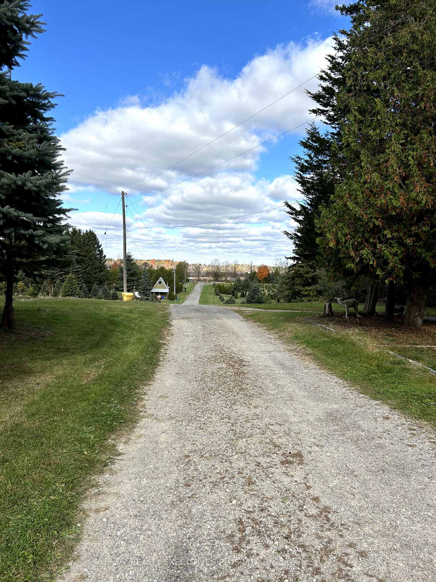 Photo 6 of 1650 6th Con Road W, Hamilton, Rockton — HOMEH