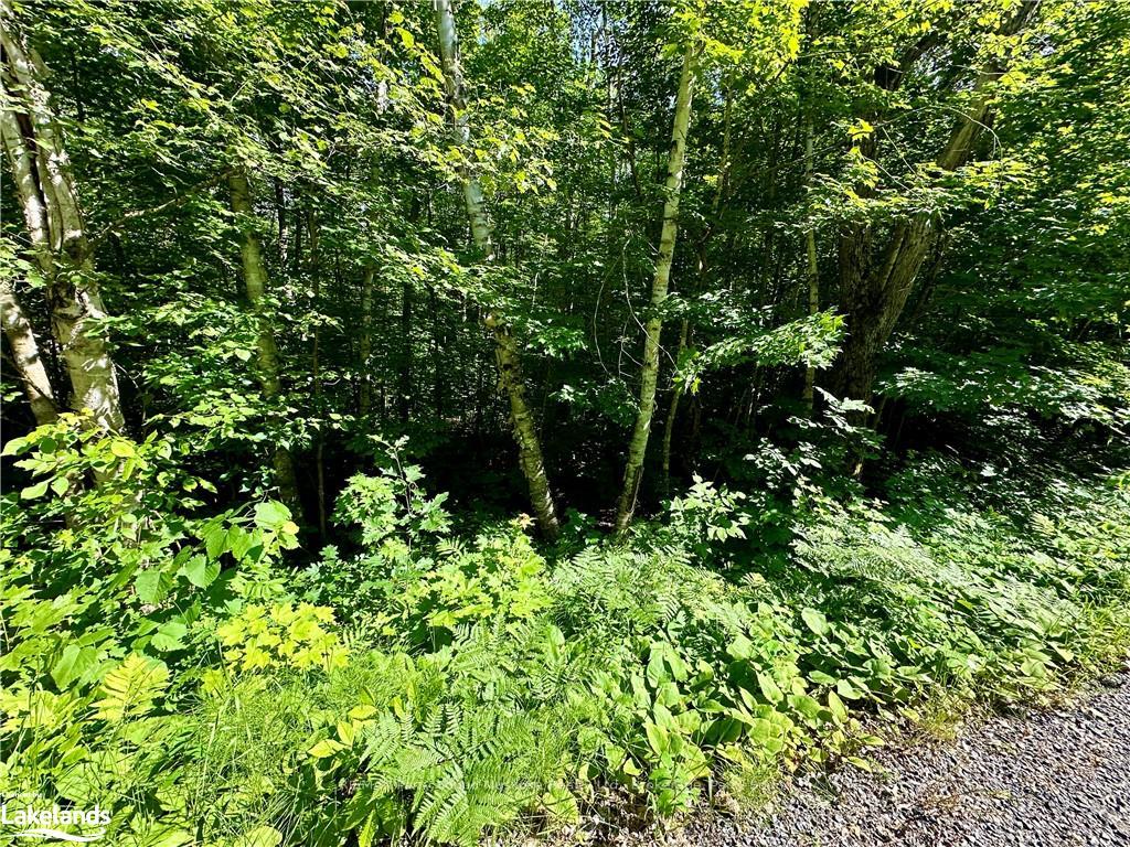 Photo 6 of Frontenac Drive, McKellar — HOMEH