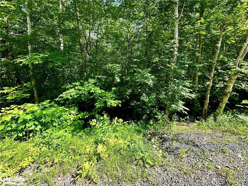 Photo 7 of Frontenac Drive, McKellar — HOMEH