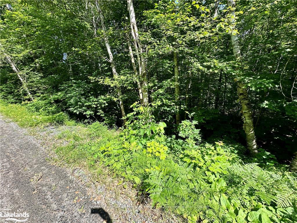 Photo 8 of Frontenac Drive, McKellar — HOMEH
