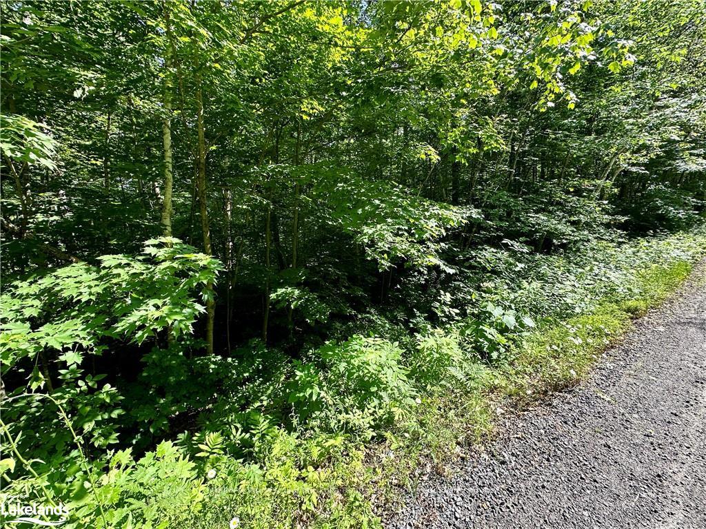 Photo 12 of Frontenac Drive, McKellar — HOMEH