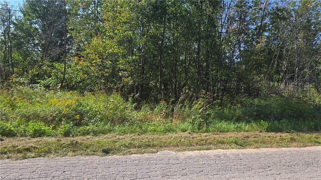 Photo 7 of 125 Big Bend Avenue S, Powassan — HOMEH