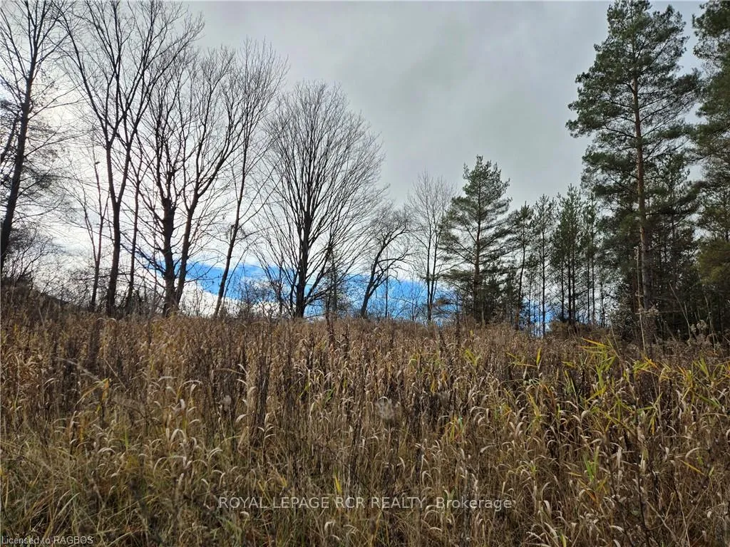 Photo 2 of LT 8 WS Highway 6, Chatsworth — HOMEH