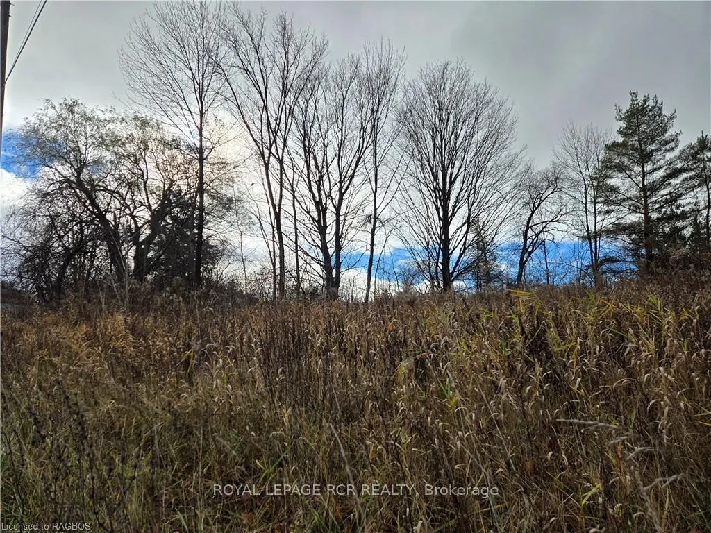 Photo 5 of LT 8 WS Highway 6, Chatsworth — HOMEH