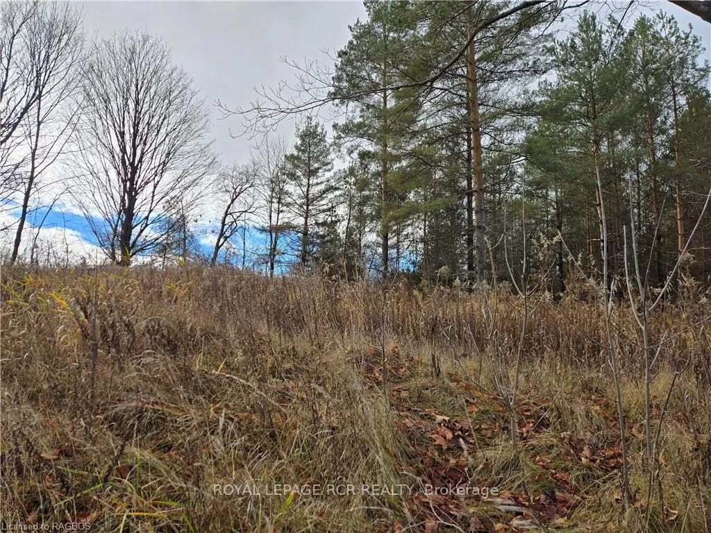 Photo 6 of LT 8 WS Highway 6, Chatsworth — HOMEH