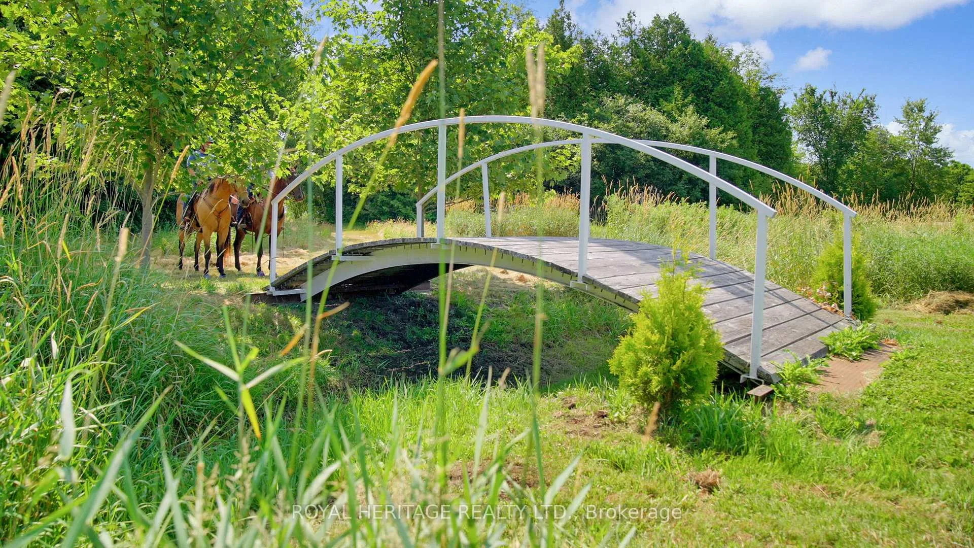 Photo 24 of 638 County 28 Road, Cavan Monaghan, Cavan Twp — HOMEH