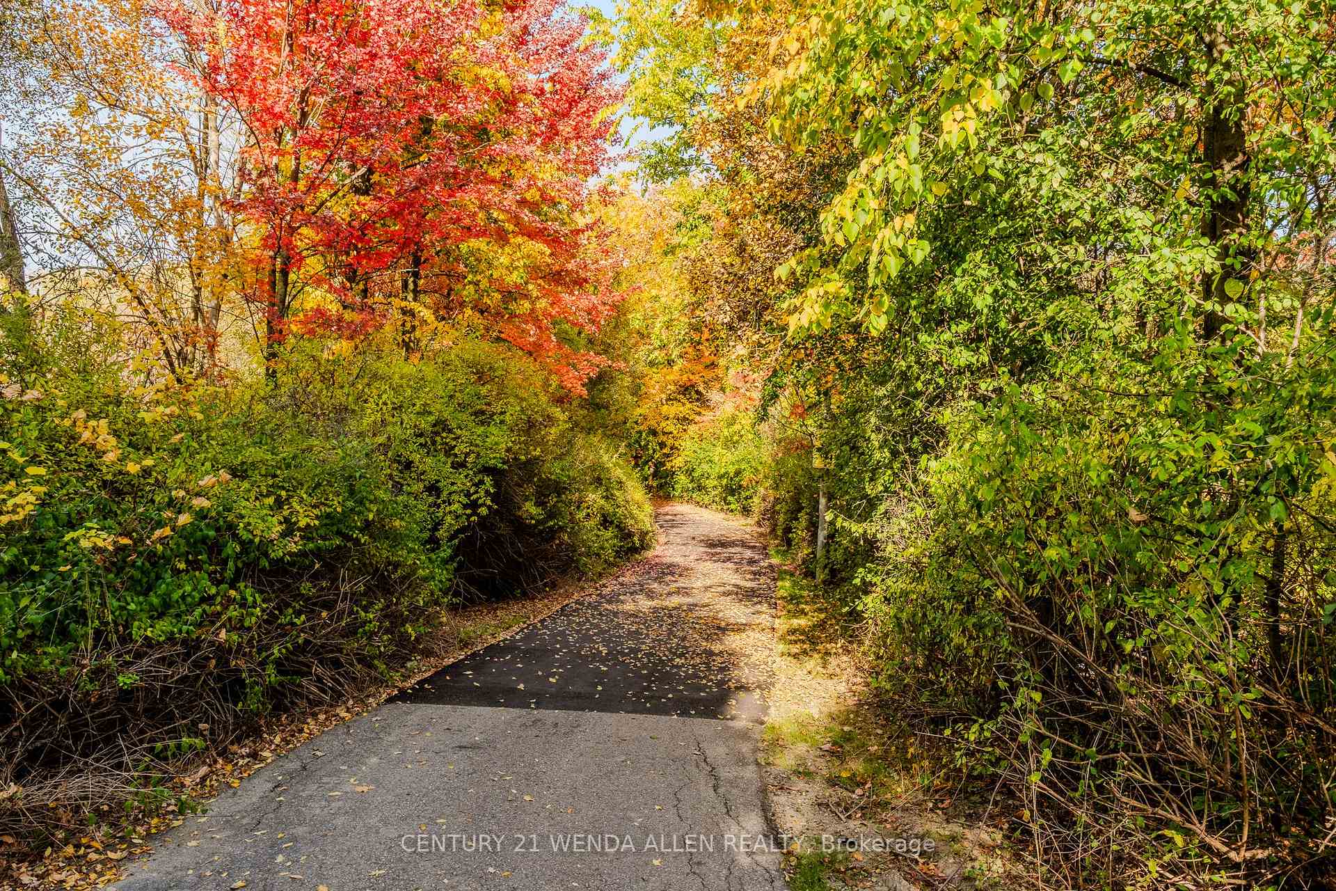 Photo 38 of 113 Meadowlark Drive, Brampton, Fletcher's Creek South — HOMEH