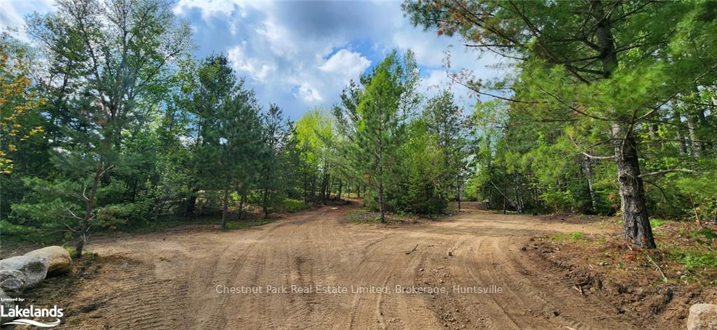 Photo 2 of 322 Goreville Road, Machar — HOMEH