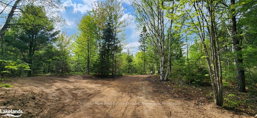 Photo 3 of 322 Goreville Road, Machar — HOMEH