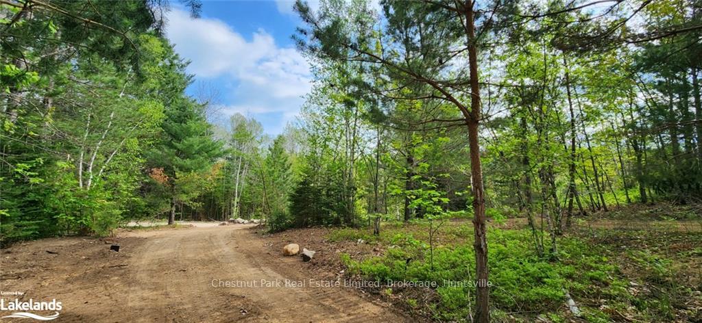 Photo 5 of 322 Goreville Road, Machar — HOMEH