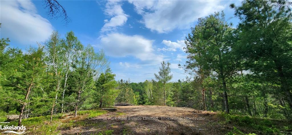 Photo 6 of 322 Goreville Road, Machar — HOMEH