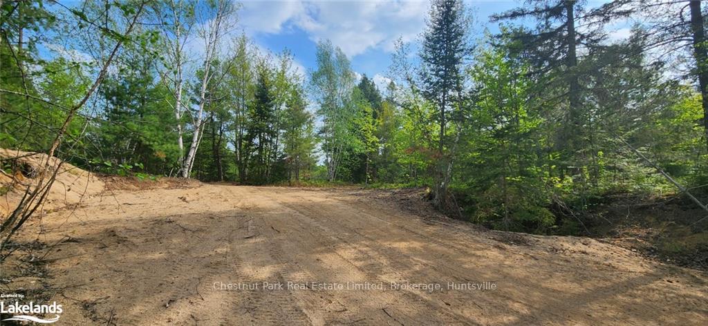 Photo 8 of 322 Goreville Road, Machar — HOMEH