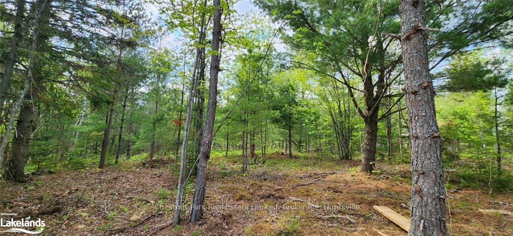 Photo 9 of 322 Goreville Road, Machar — HOMEH