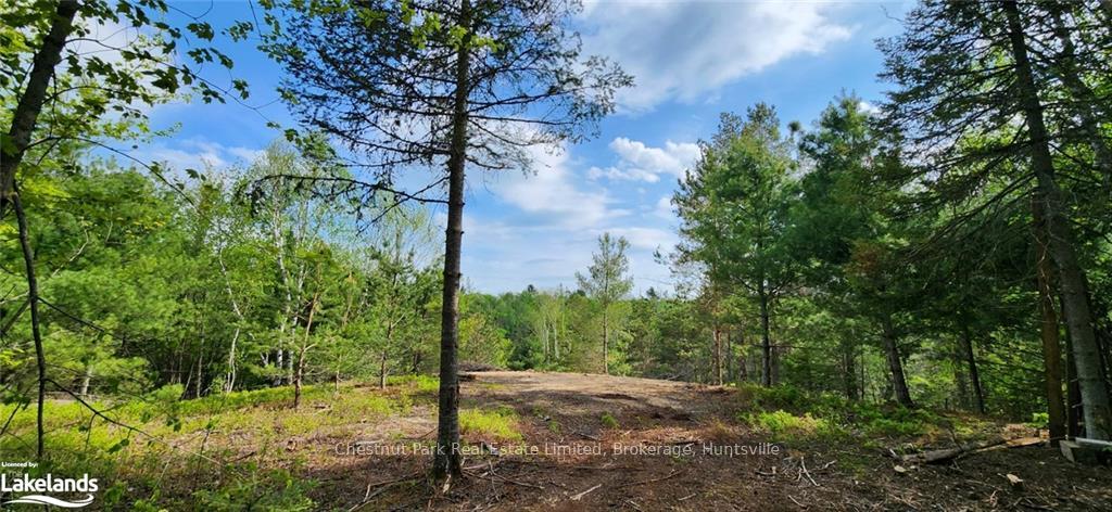 Photo 10 of 322 Goreville Road, Machar — HOMEH