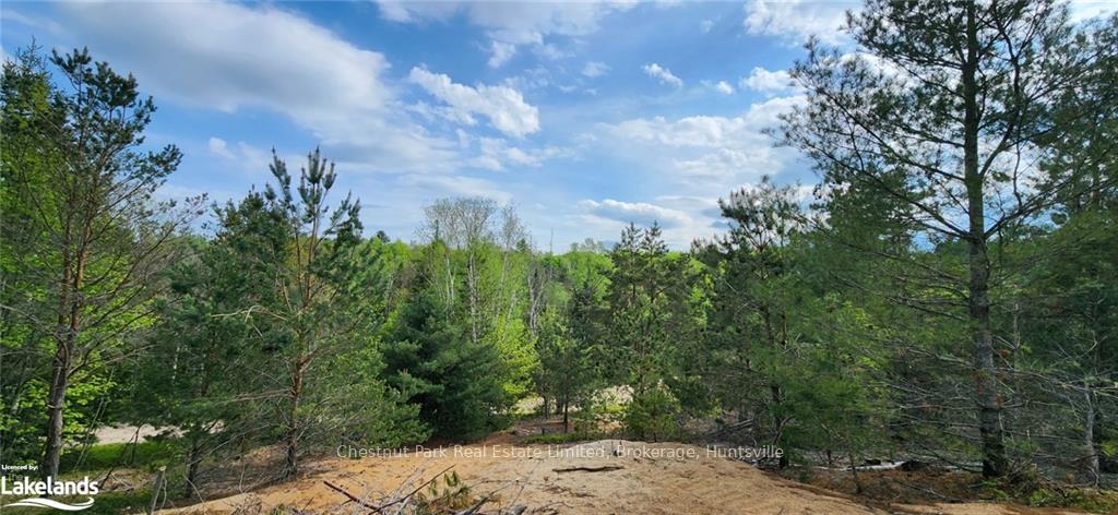 Photo 11 of 322 Goreville Road, Machar — HOMEH