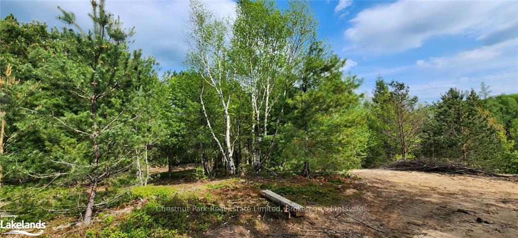Photo 12 of 322 Goreville Road, Machar — HOMEH