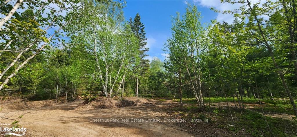Photo 14 of 322 Goreville Road, Machar — HOMEH