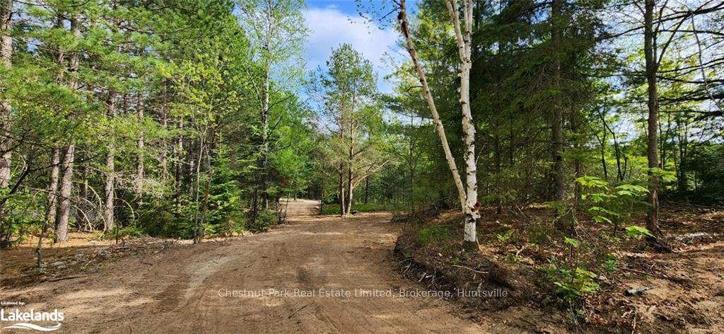 Photo 15 of 322 Goreville Road, Machar — HOMEH