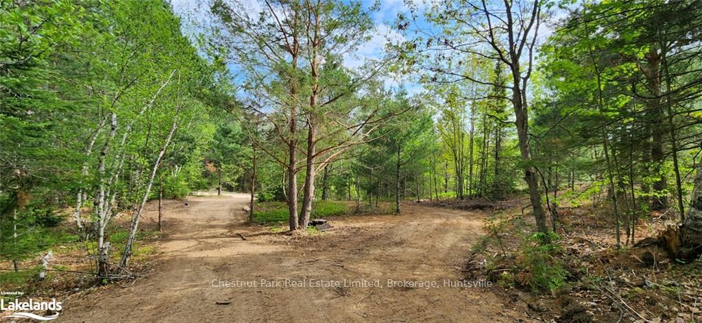Photo 18 of 322 Goreville Road, Machar — HOMEH