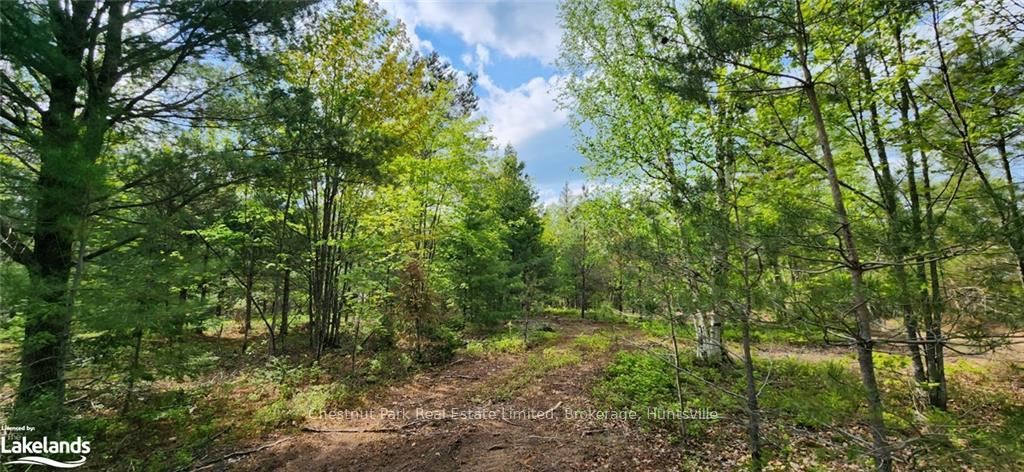 Photo 19 of 322 Goreville Road, Machar — HOMEH