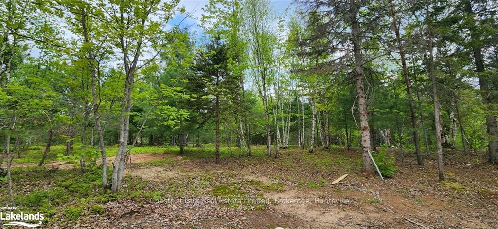 Photo 20 of 322 Goreville Road, Machar — HOMEH