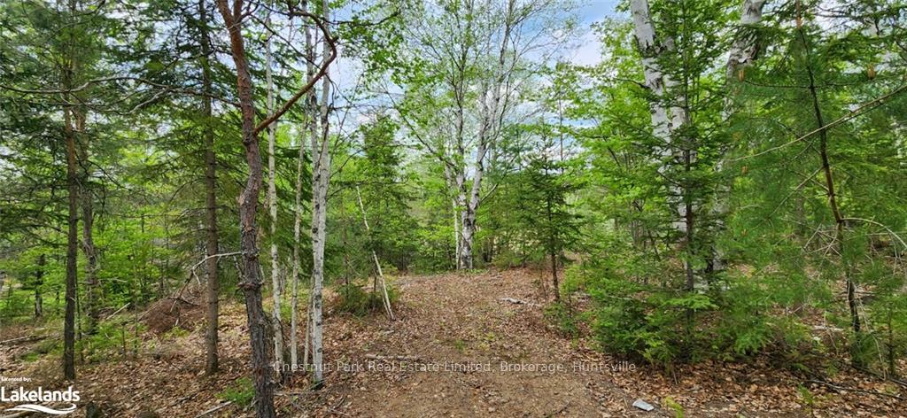 Photo 21 of 322 Goreville Road, Machar — HOMEH