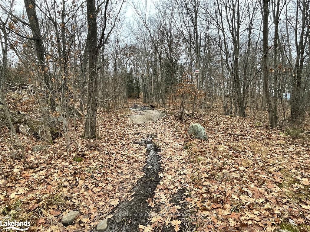 Photo 6 of 48 Spring Hill Rd, McKellar — HOMEH