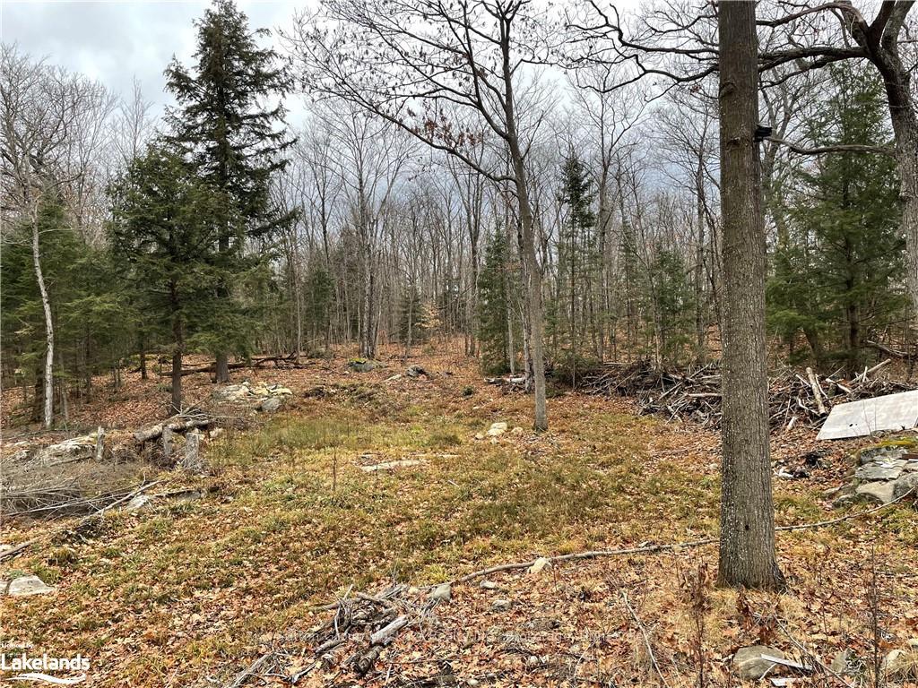 Photo 9 of 48 Spring Hill Rd, McKellar — HOMEH