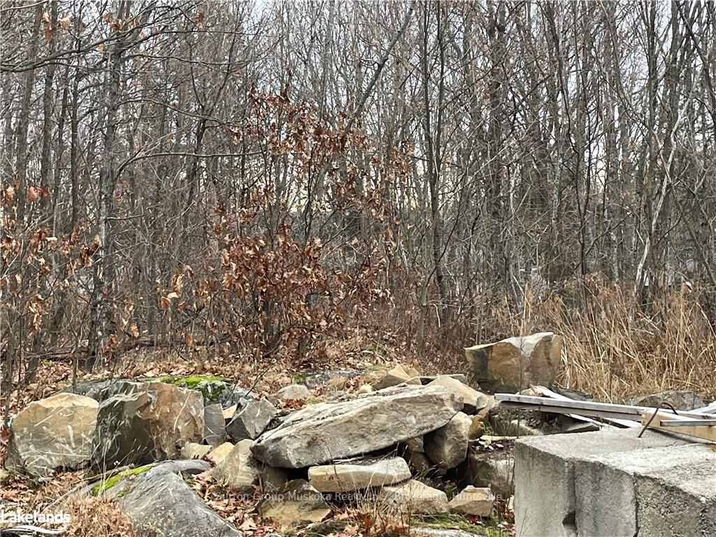 Photo 10 of 48 Spring Hill Rd, McKellar — HOMEH