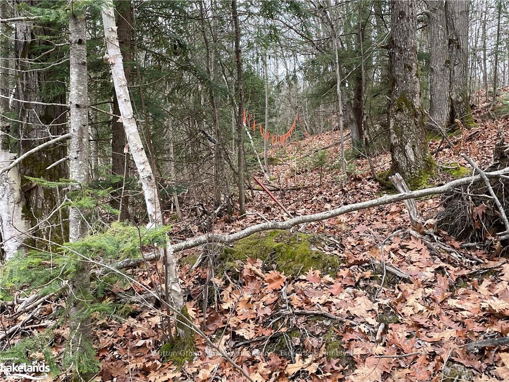 Photo 13 of 48 Spring Hill Rd, McKellar — HOMEH
