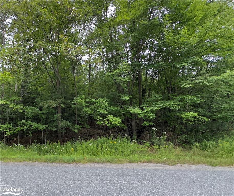 Photo 4 of 89 Carling Bay Road E, Carling — HOMEH