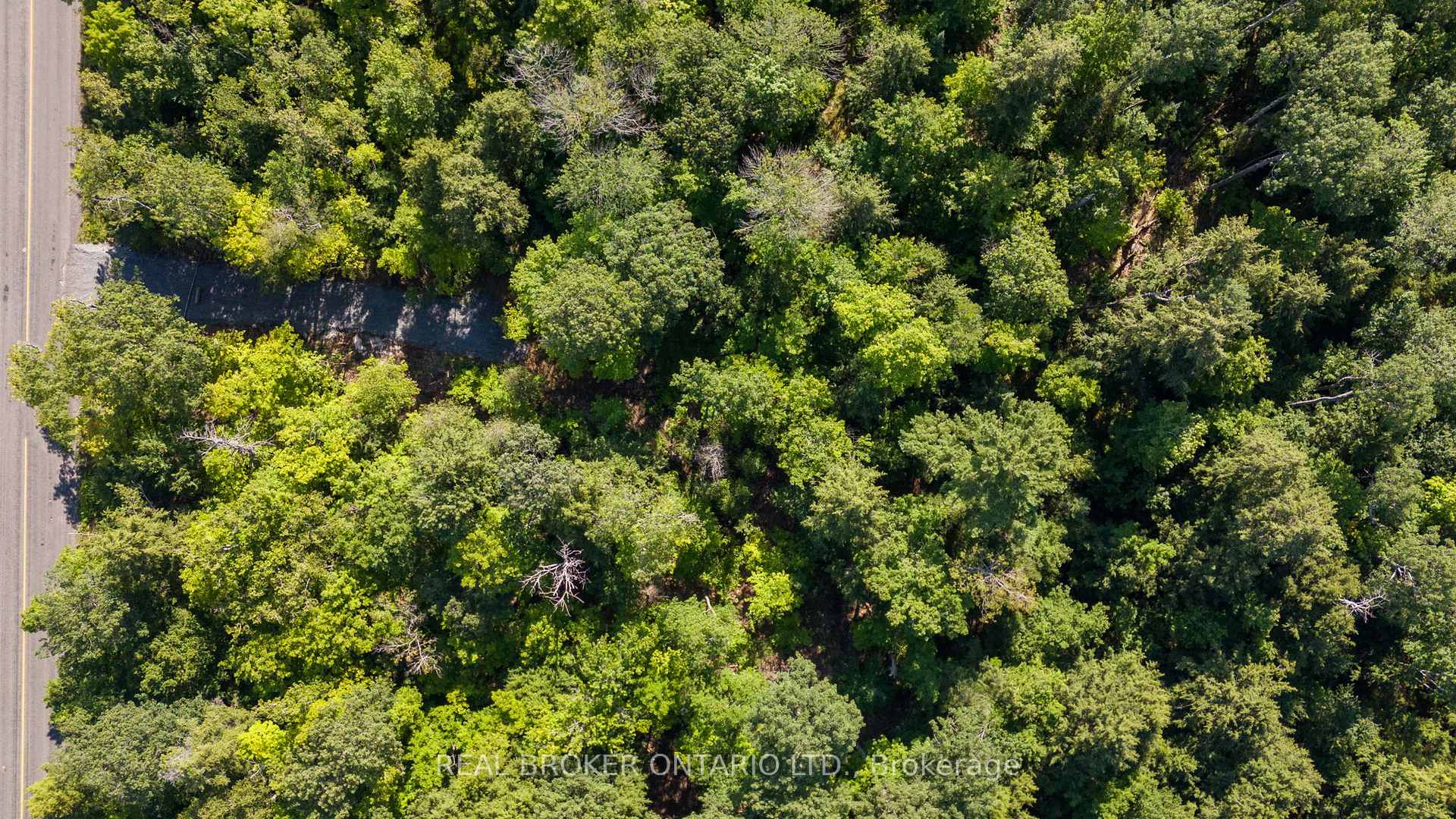 Photo 3 of 112 Highway 559, Carling — HOMEH