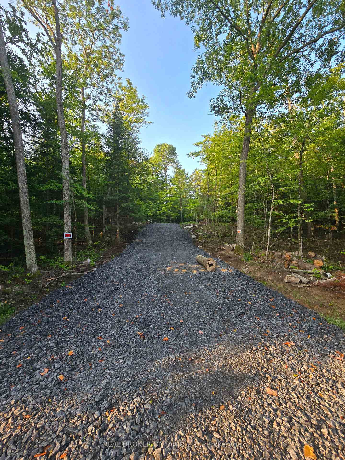 Photo 4 of 112 Highway 559, Carling — HOMEH