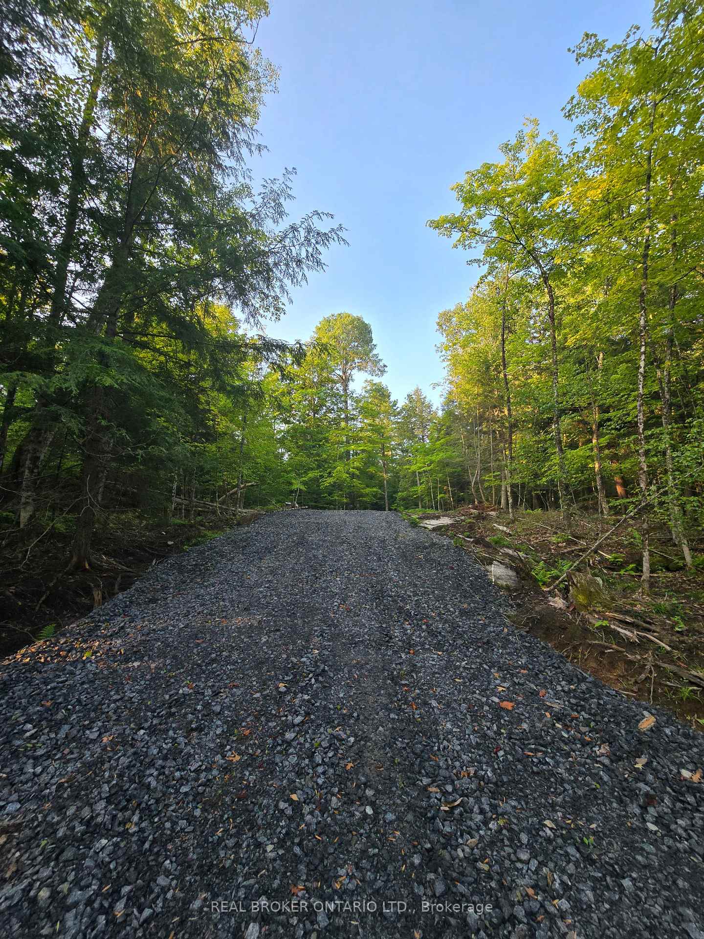 Photo 5 of 112 Highway 559, Carling — HOMEH