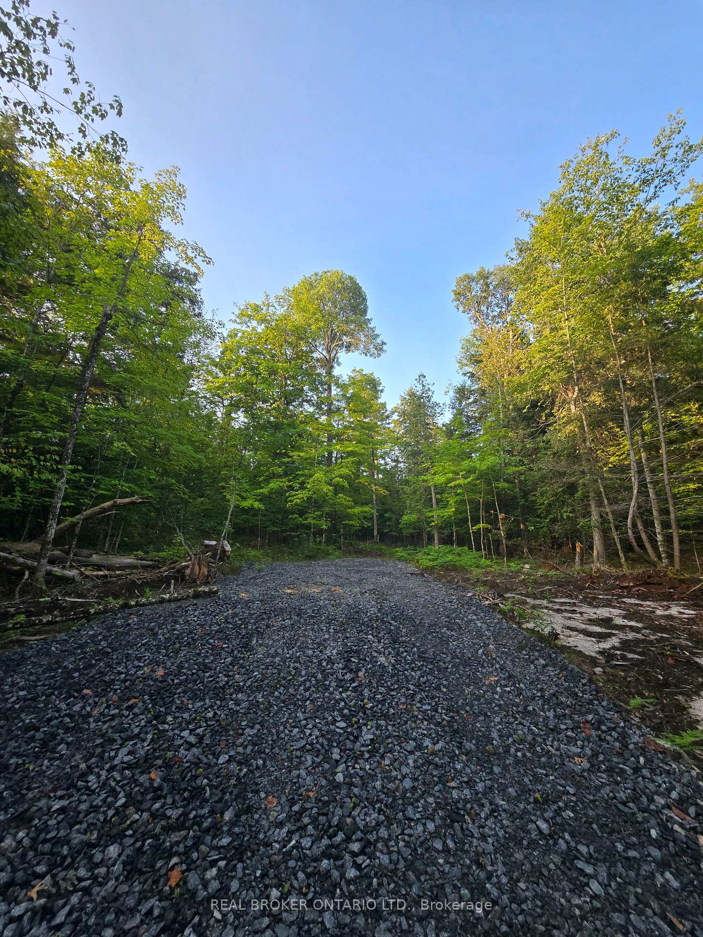 Photo 6 of 112 Highway 559, Carling — HOMEH