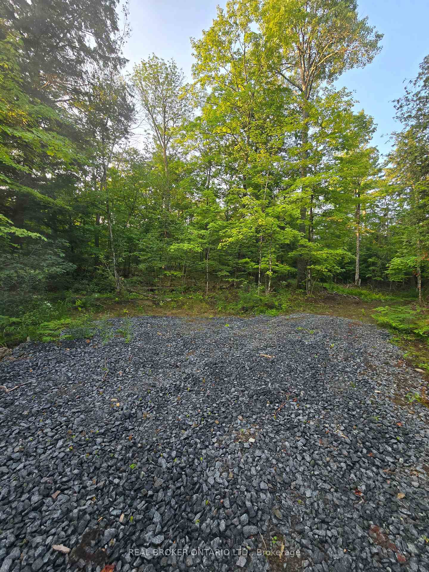 Photo 7 of 112 Highway 559, Carling — HOMEH