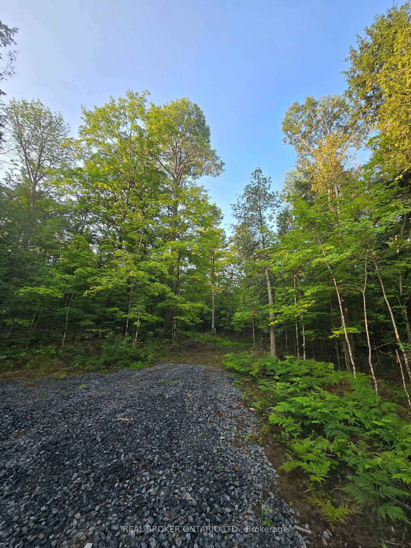 Photo 8 of 112 Highway 559, Carling — HOMEH