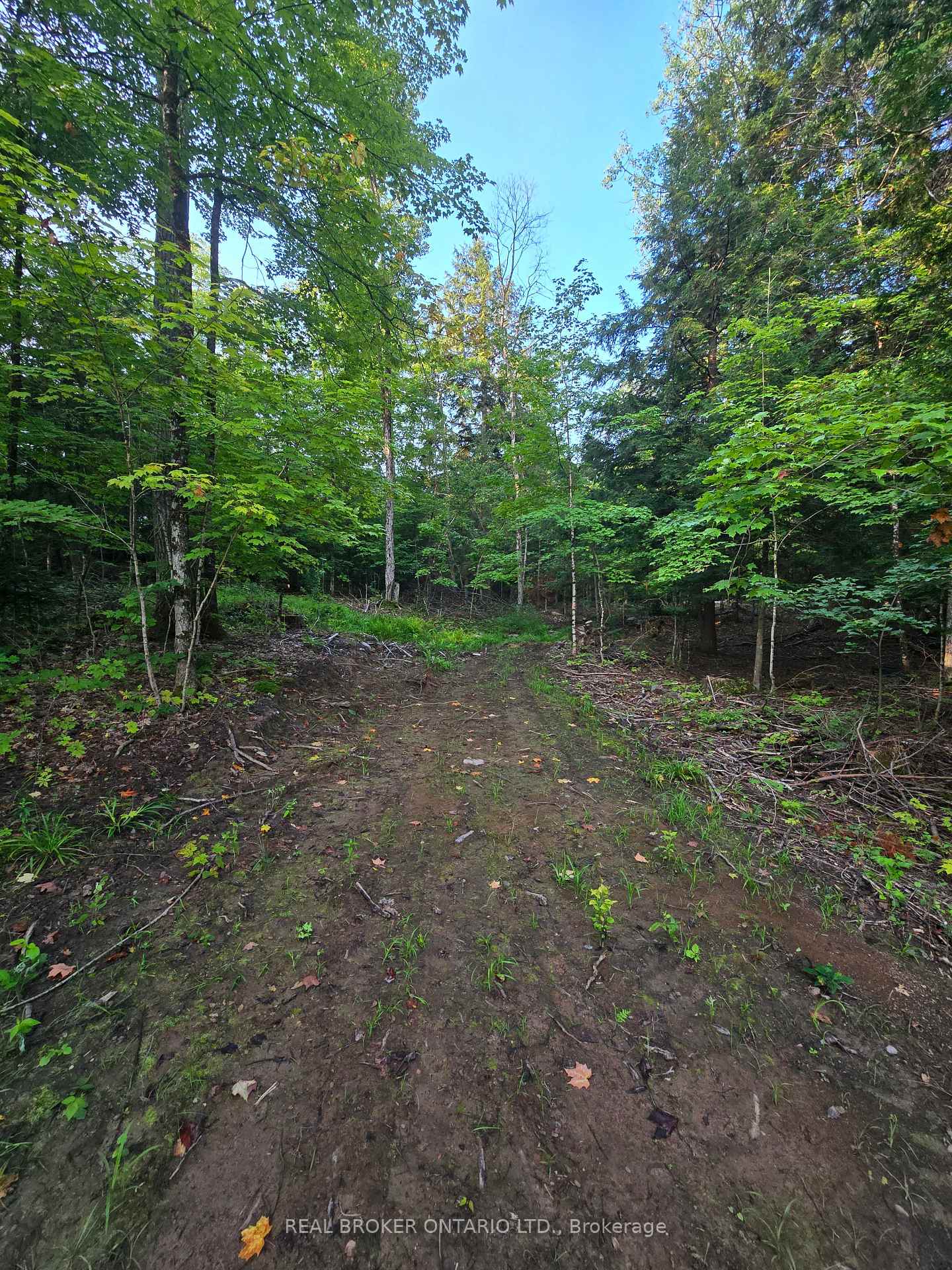 Photo 9 of 112 Highway 559, Carling — HOMEH