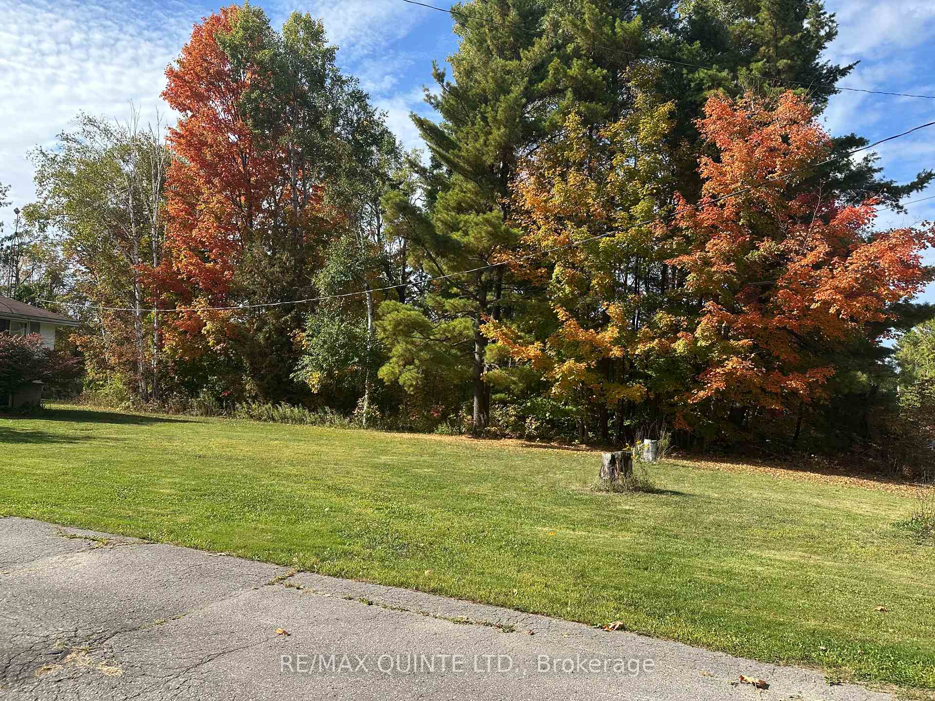 Photo 16 of 353 Carson Road, Centre Hastings — HOMEH