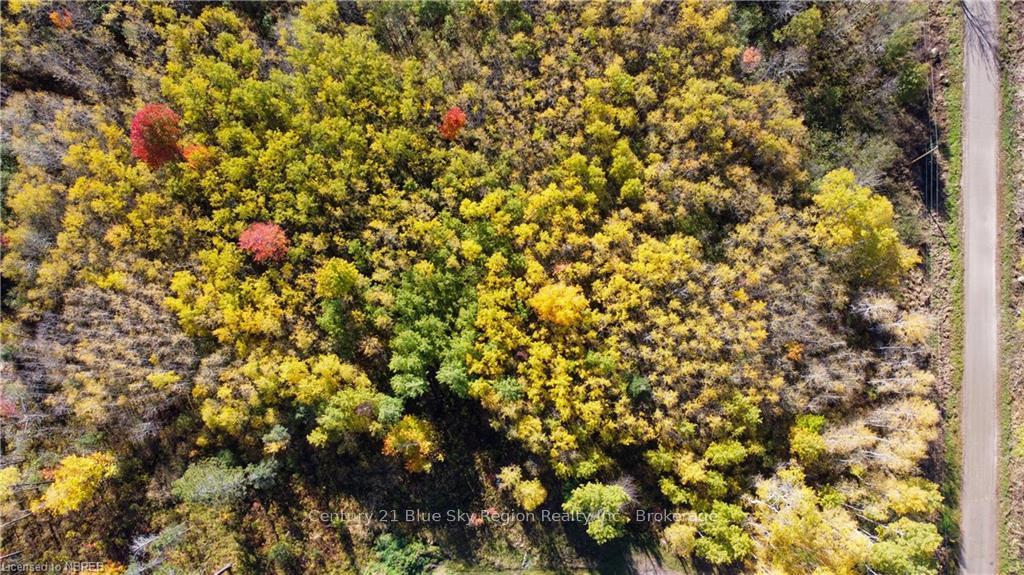 Photo 5 of PT LT 6 Hills Siding Road, Callander — HOMEH