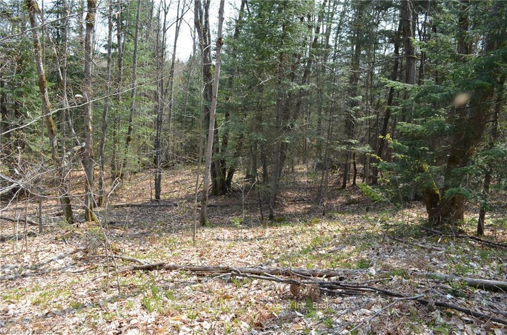Photo 1 of LT 20 Con 3, Powassan — HOMEH