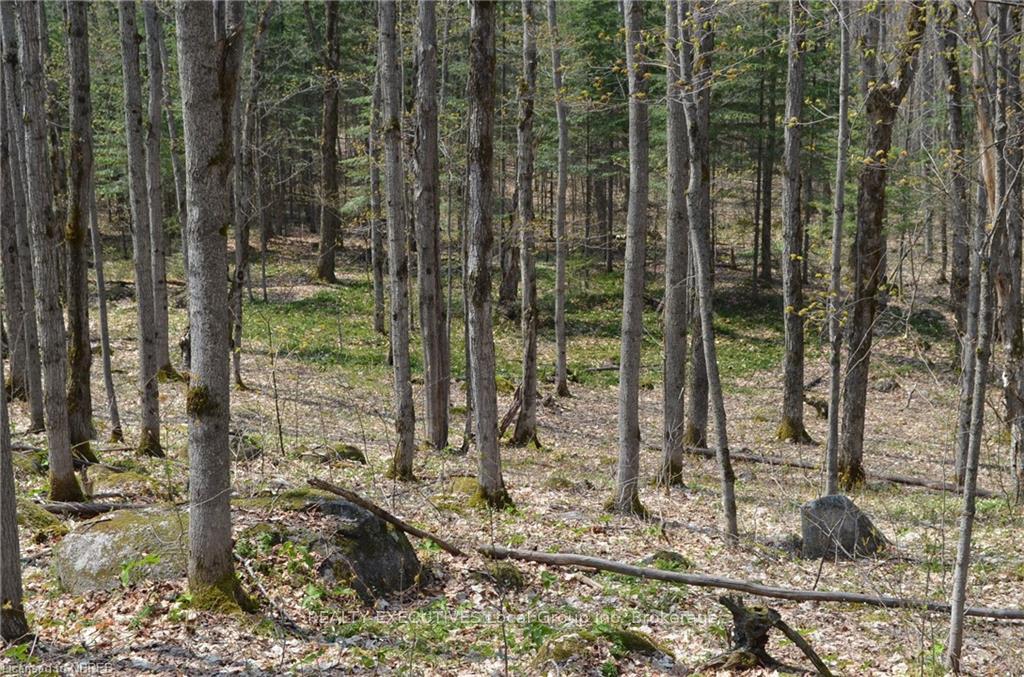 Photo 3 of LT 20 Con 3, Powassan — HOMEH
