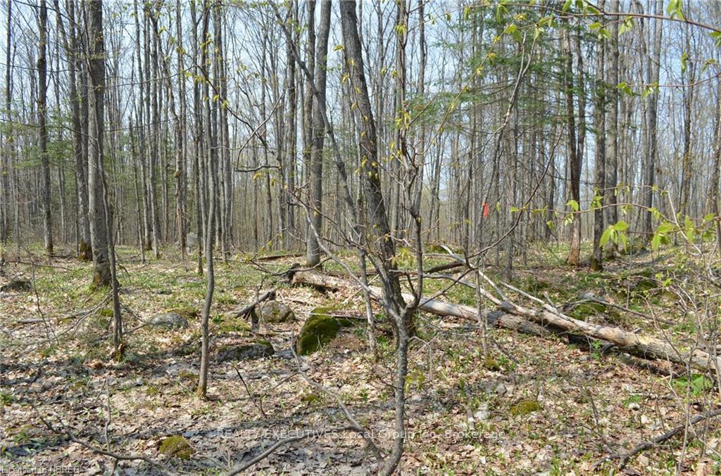 Photo 5 of LT 20 Con 3, Powassan — HOMEH