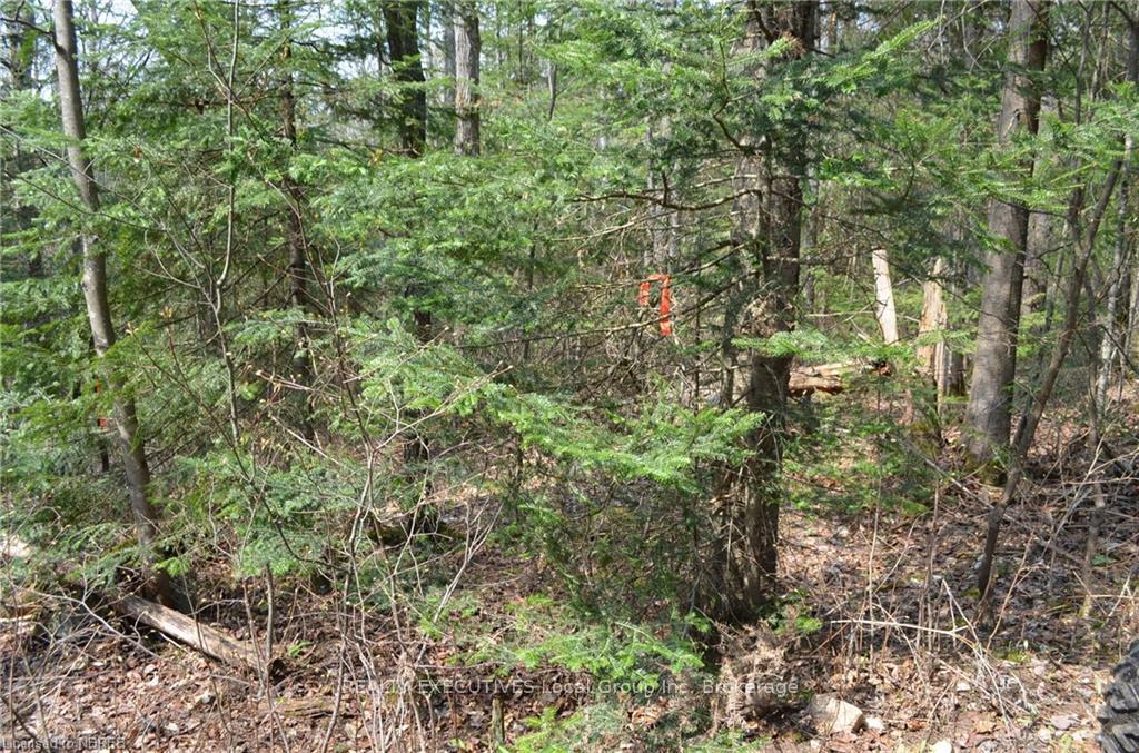 Photo 7 of LT 20 Con 3, Powassan — HOMEH